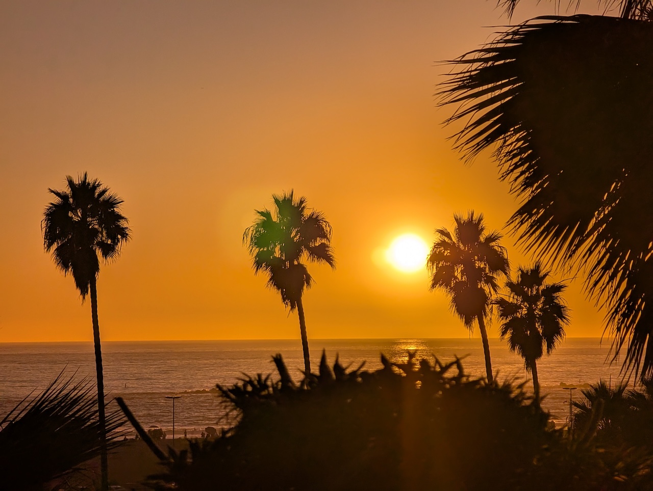 2025 再访洛杉矶